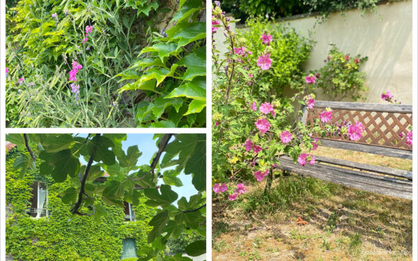 Maison de charme individuelle de 90m2 & jardin à 10 mn à pied des écoles et commerces
